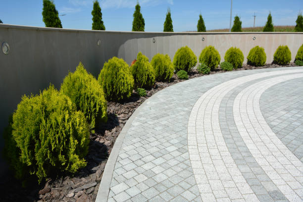 Best Permeable Paver Driveway  in Itasca, TX